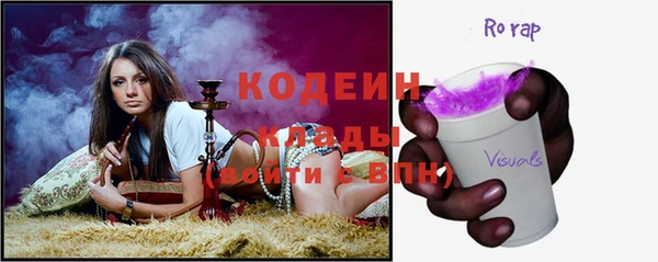 мдпв Краснослободск