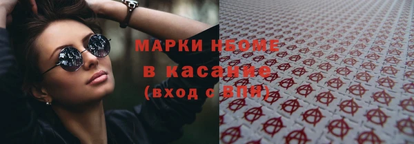 мдпв Краснослободск