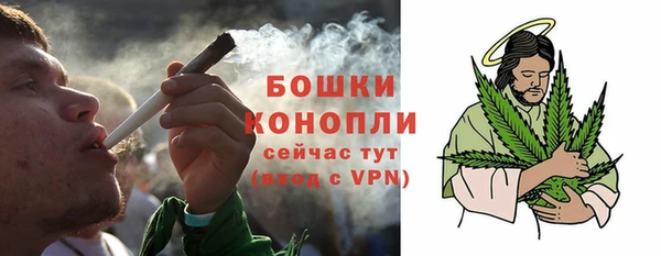 мдпв Краснослободск