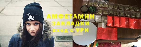 мдпв Краснослободск
