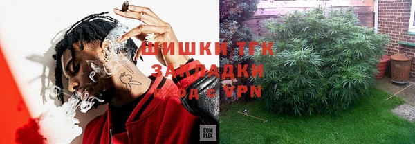 мдпв Краснослободск