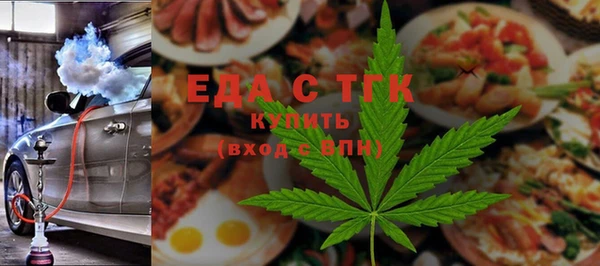 мдпв Краснослободск