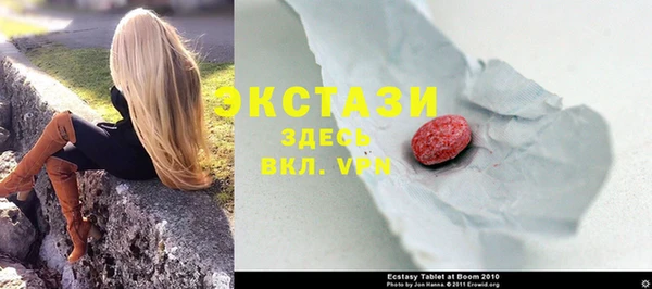 мдпв Краснослободск